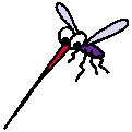 logo AUTEUR 74